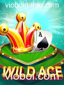 Descubra as Atrações e Regras do Jogo WildAce